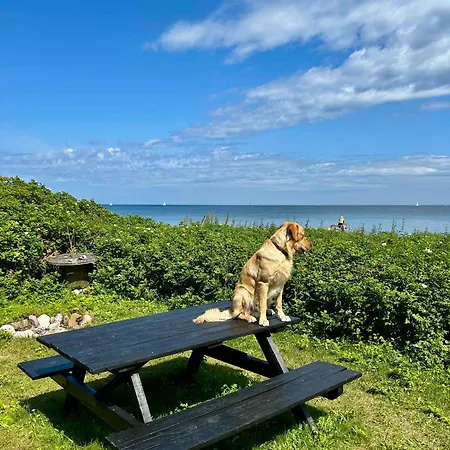 Togetherness, Coziness & Magical Great Belt View * Транекер